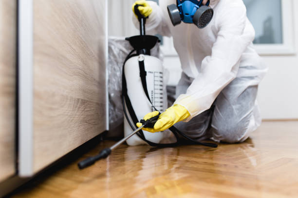 Best Cockroach Control Services  in Avon, IN