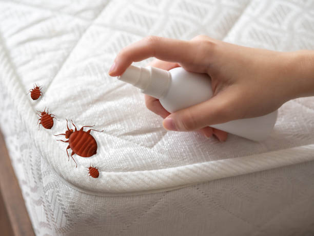 Professional Pest Control in Avon, IN
