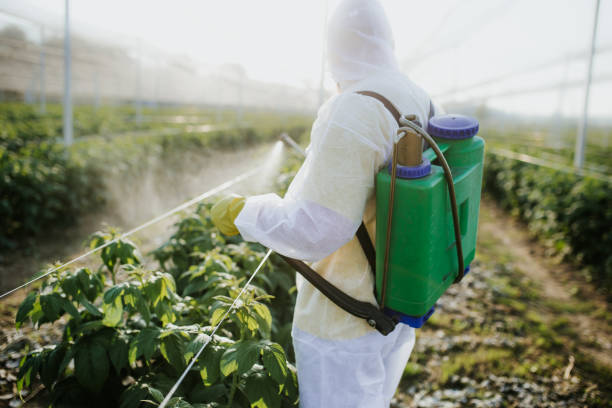 Best Wildlife Control Services  in Avon, IN